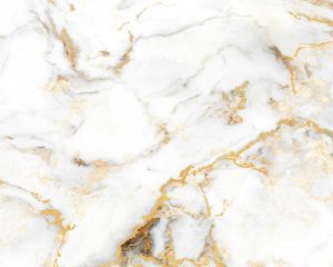 prime 100x100cm 21001